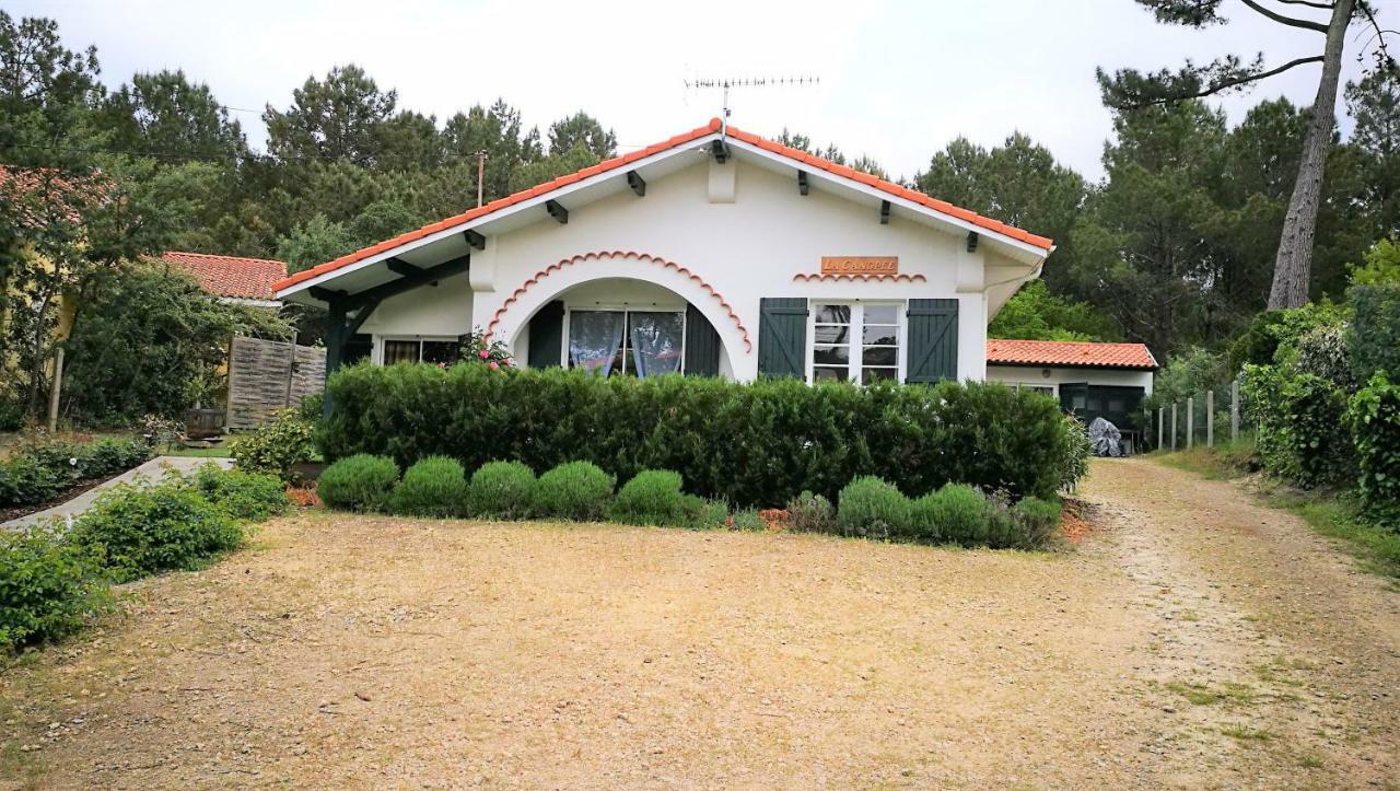 La Canopee Mimizan Ngoại thất bức ảnh